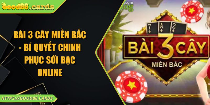 Bài 3 Cây Miền Bắc - Bí Quyết Chinh Phục Sới Bạc Online