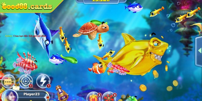 Nhiều phòng chơi phù hợp với người tham gia 